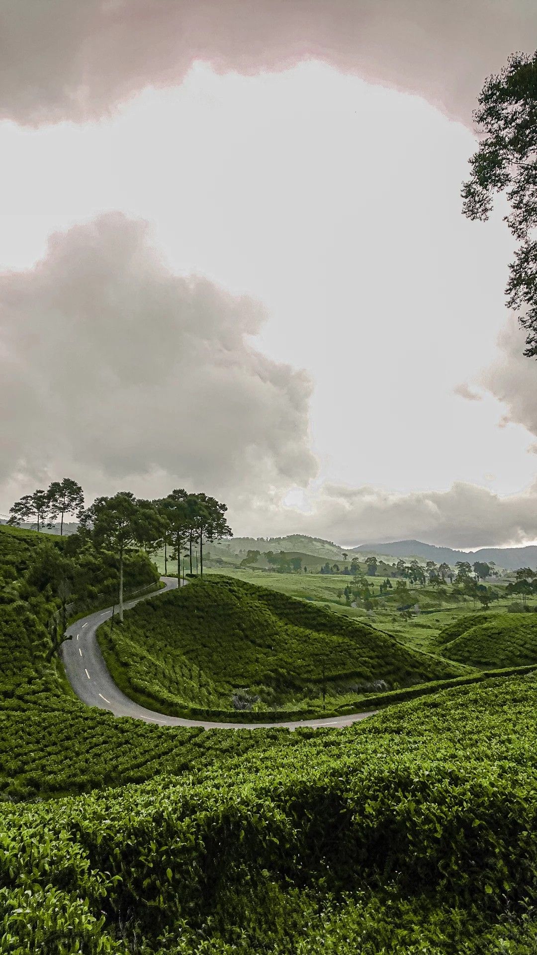 Discover the Hidden Magic of Lemukih Village