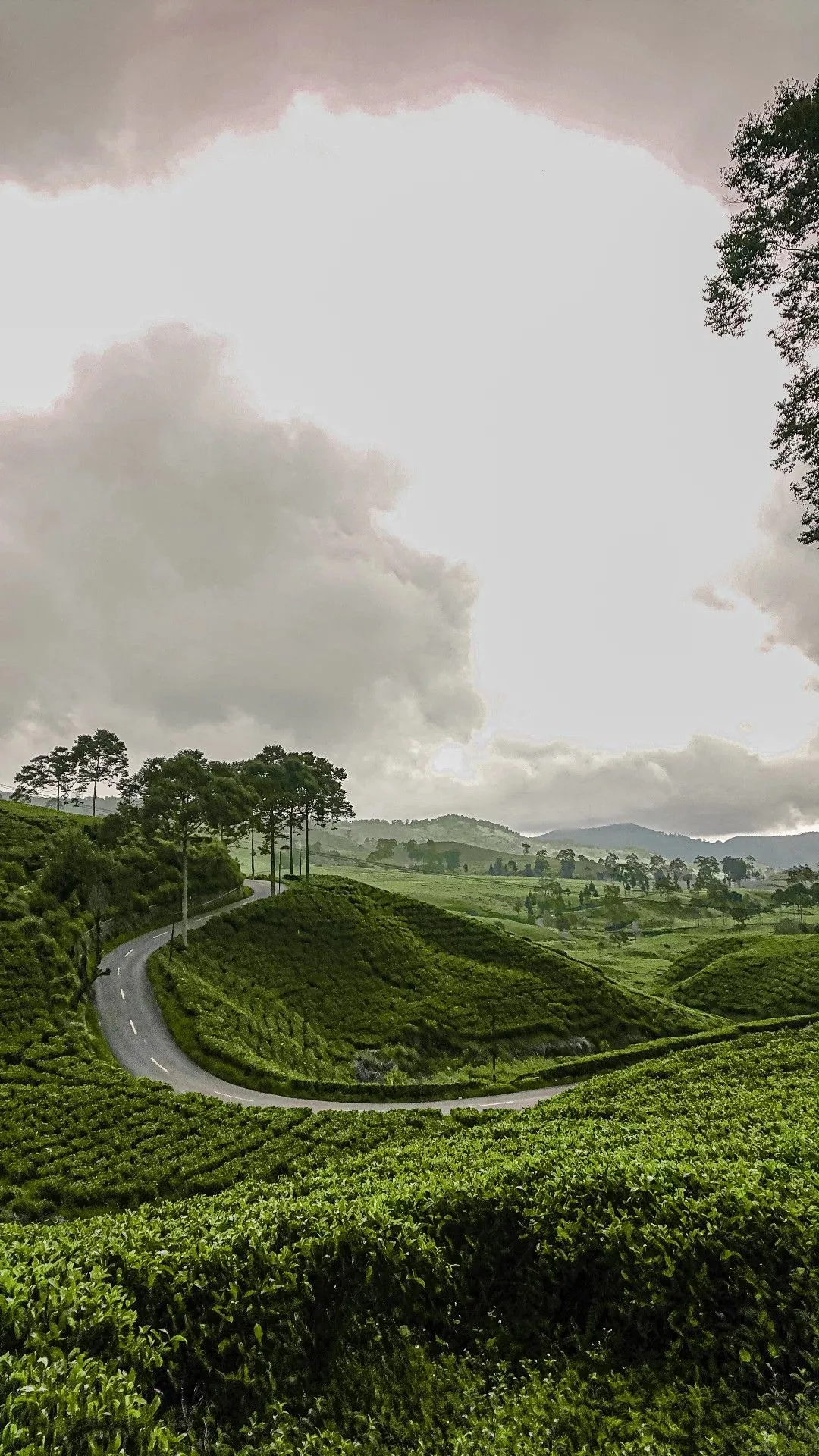 Discover the Hidden Magic of Lemukih Village