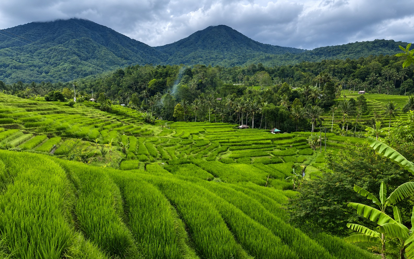 Private Daytrip : Jatiluwih, Purification Ceremony, Waterfalls